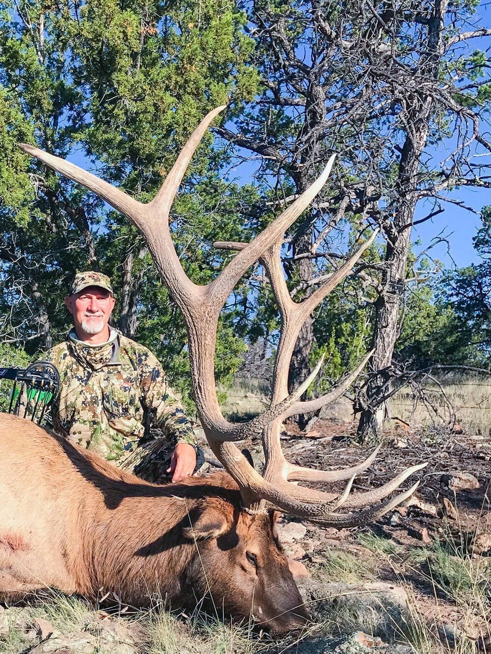New Mexico Game huting bull elk