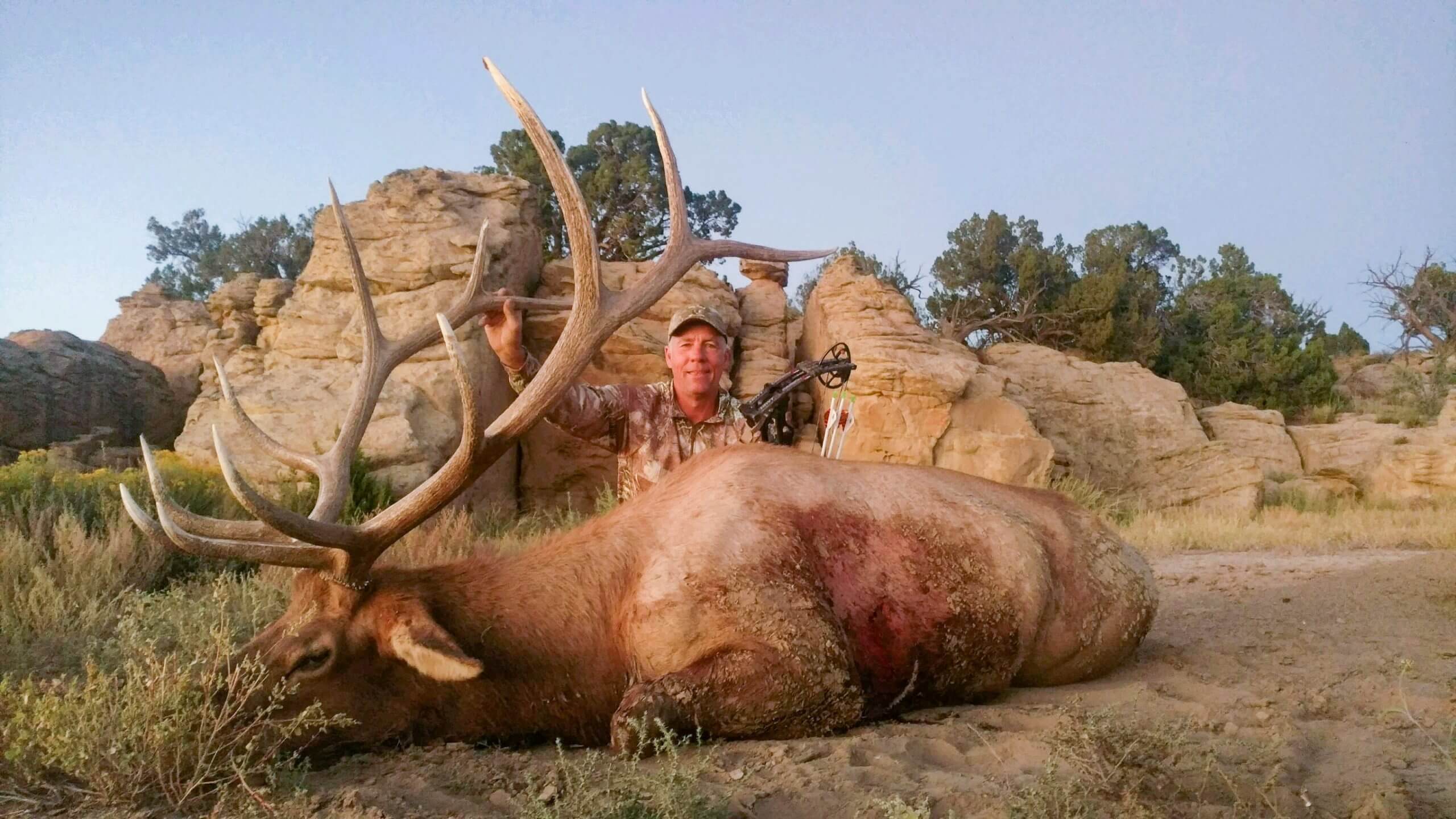 archery bull elk new mexico hunting
