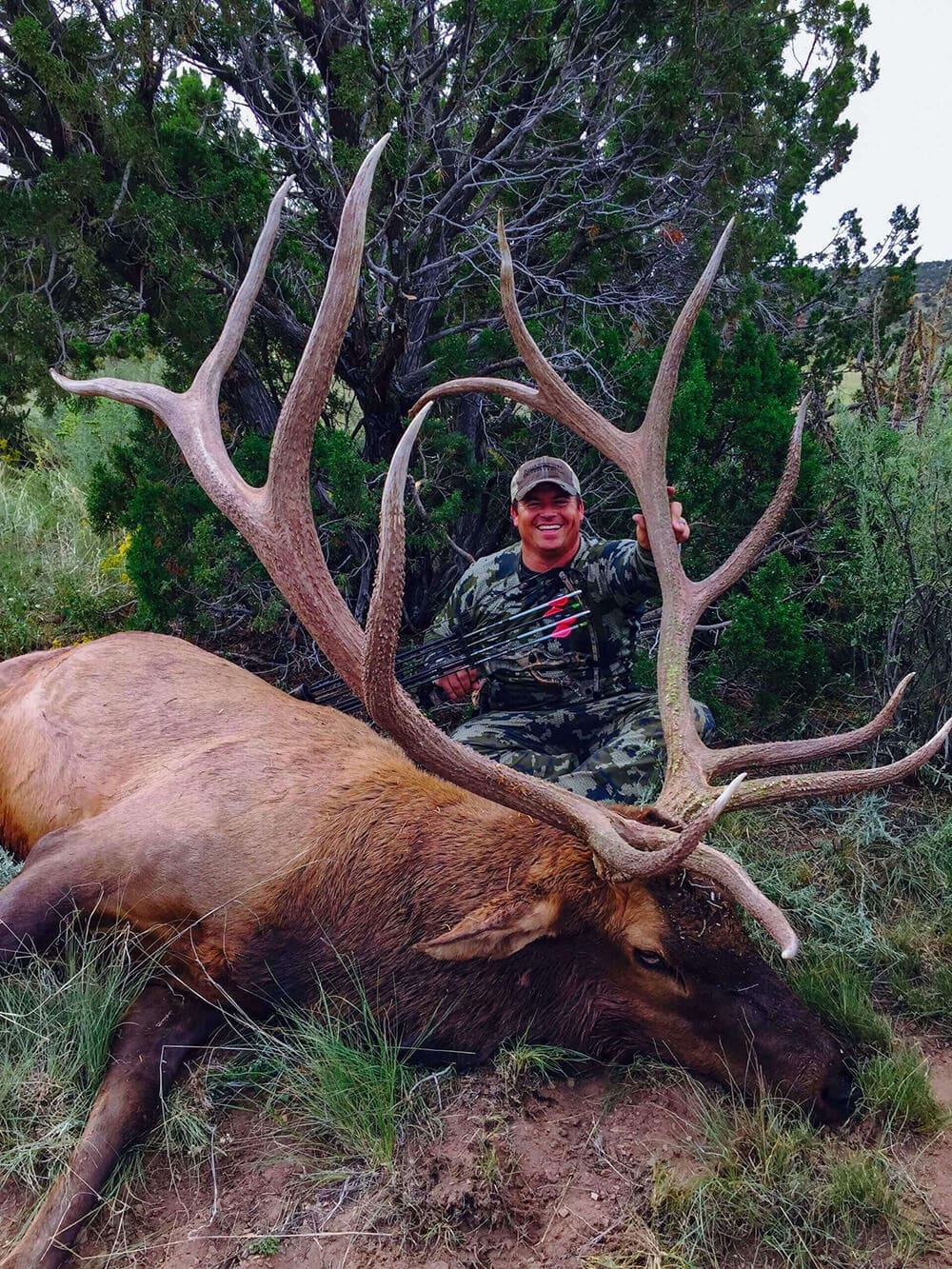 New Mexico archery elk hunting 4