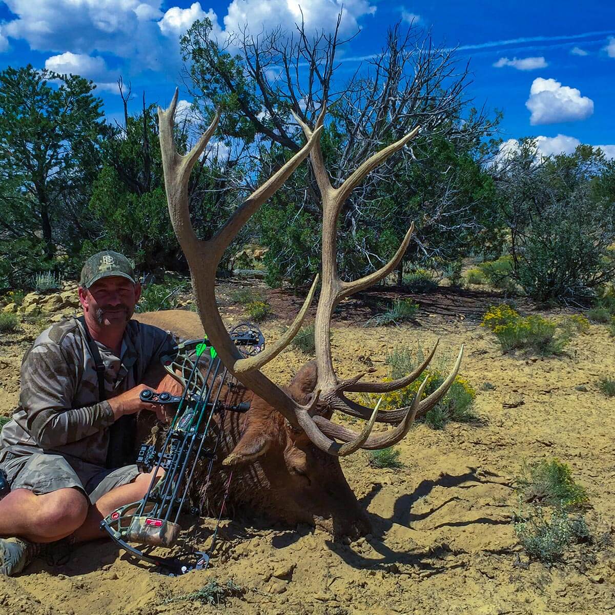 New Mexico archery elk hunting 2