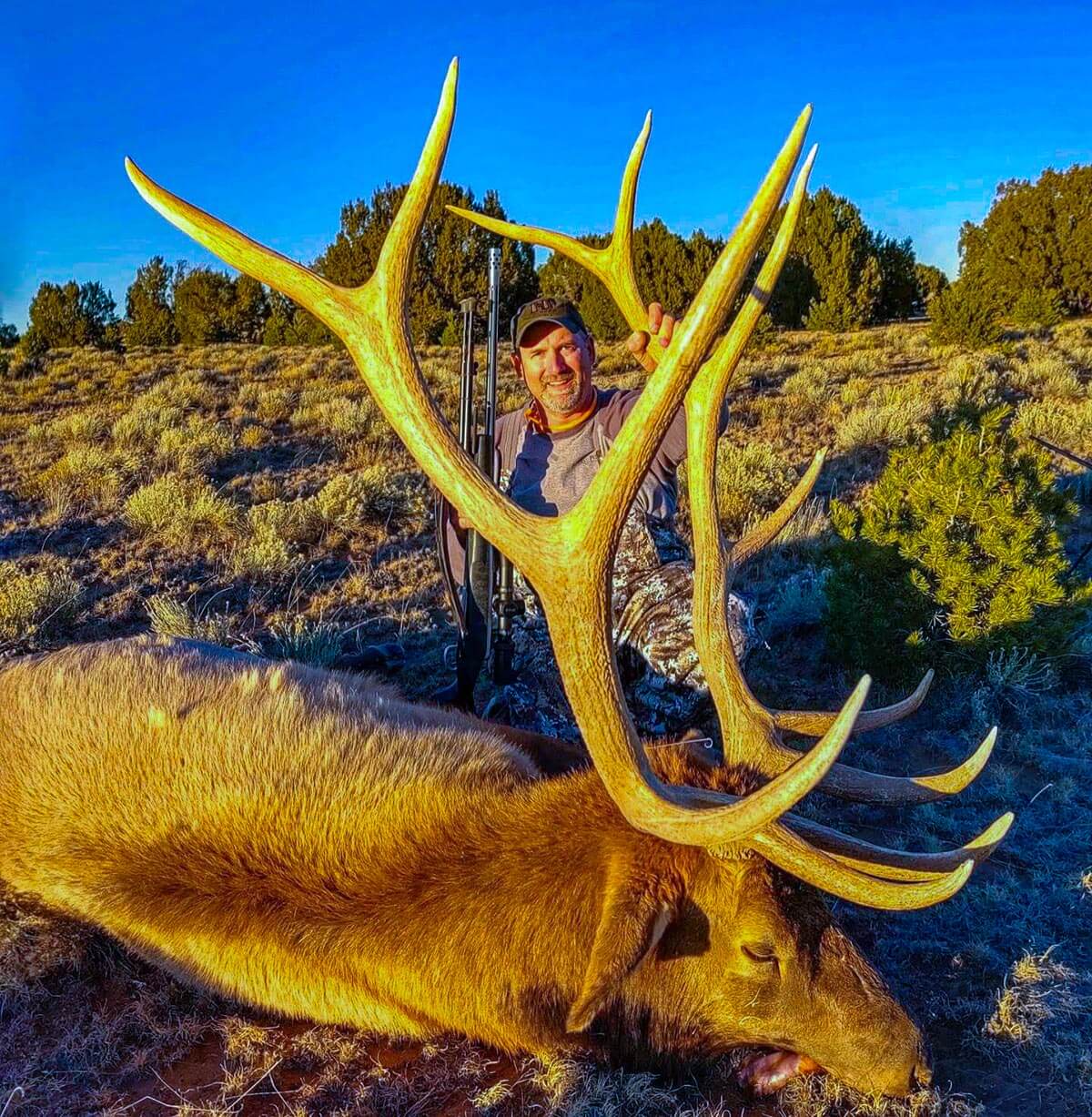 new mexico elk hunting dates