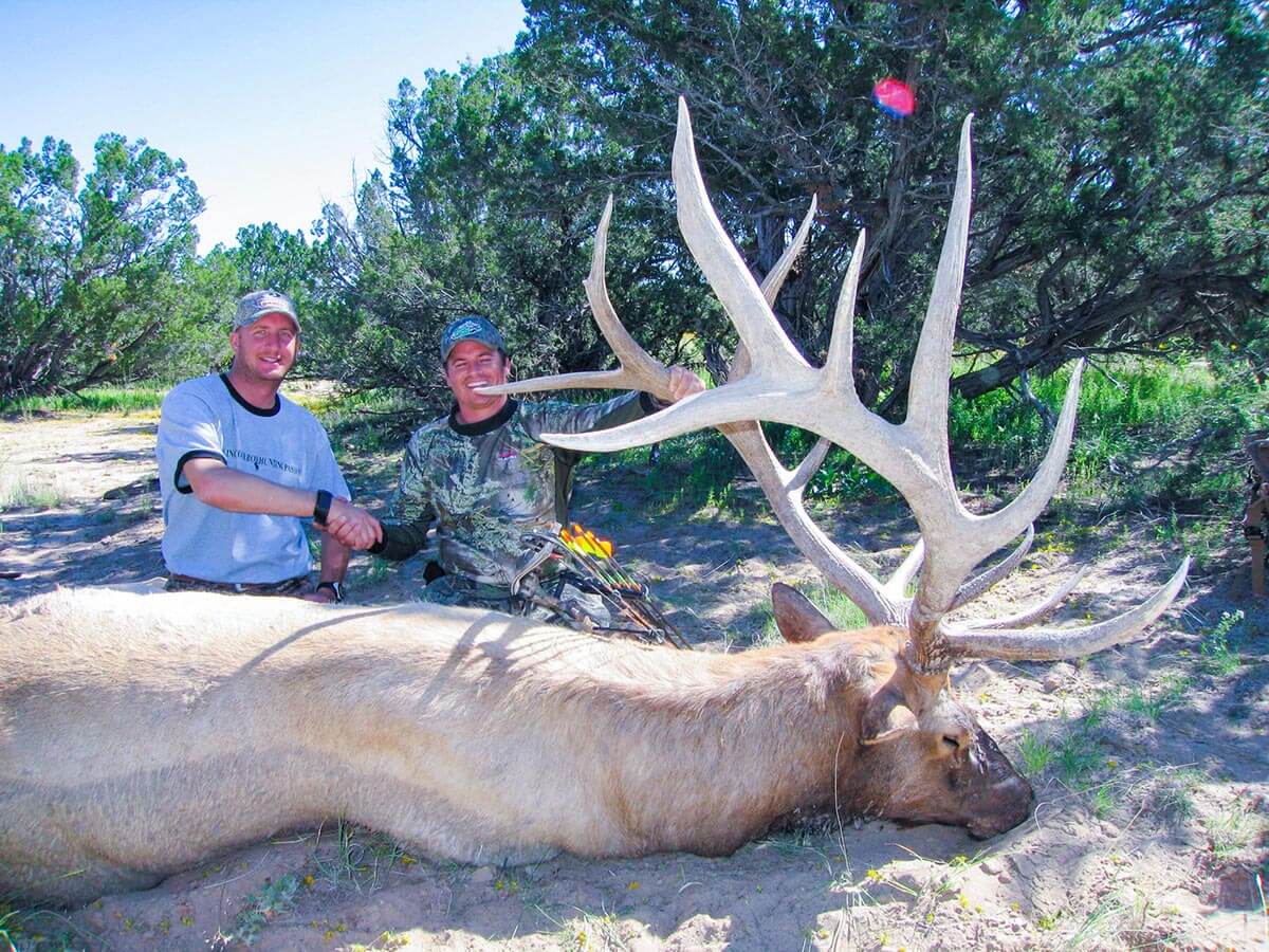Archery Bull Elk Hunts - Gallery - Successful Hunt
