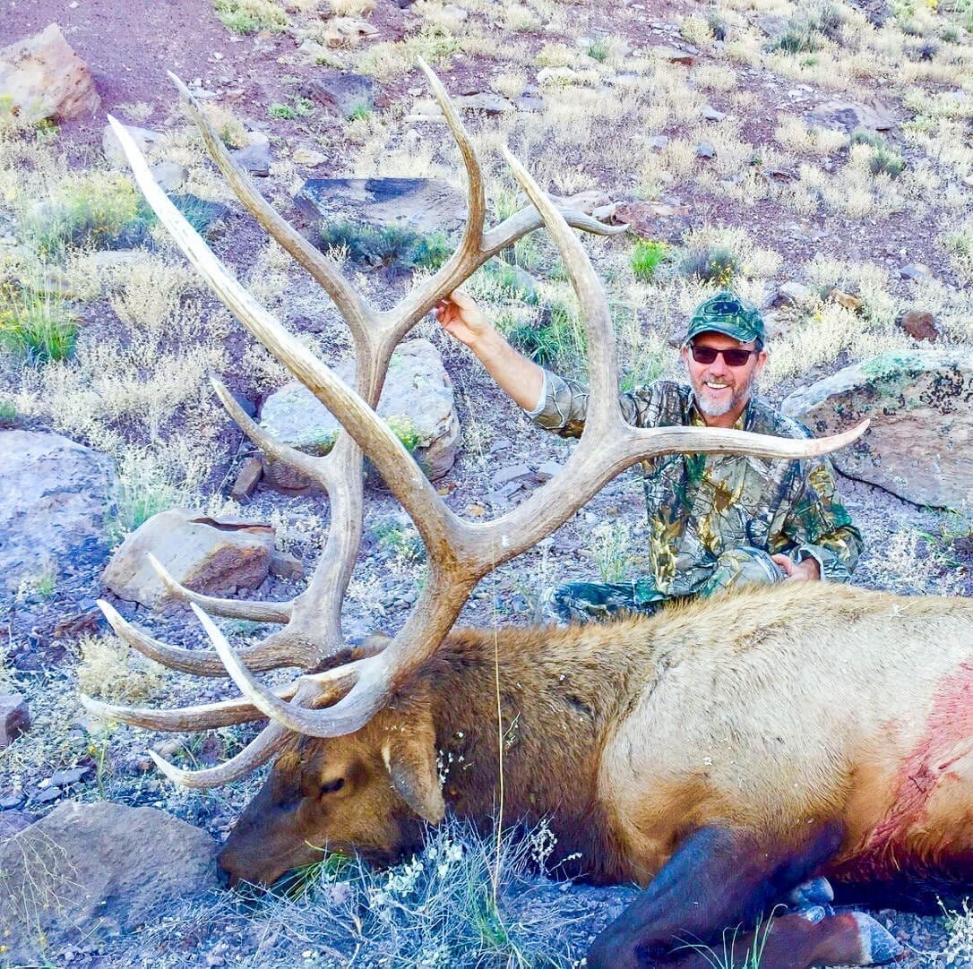 new mexico hunting