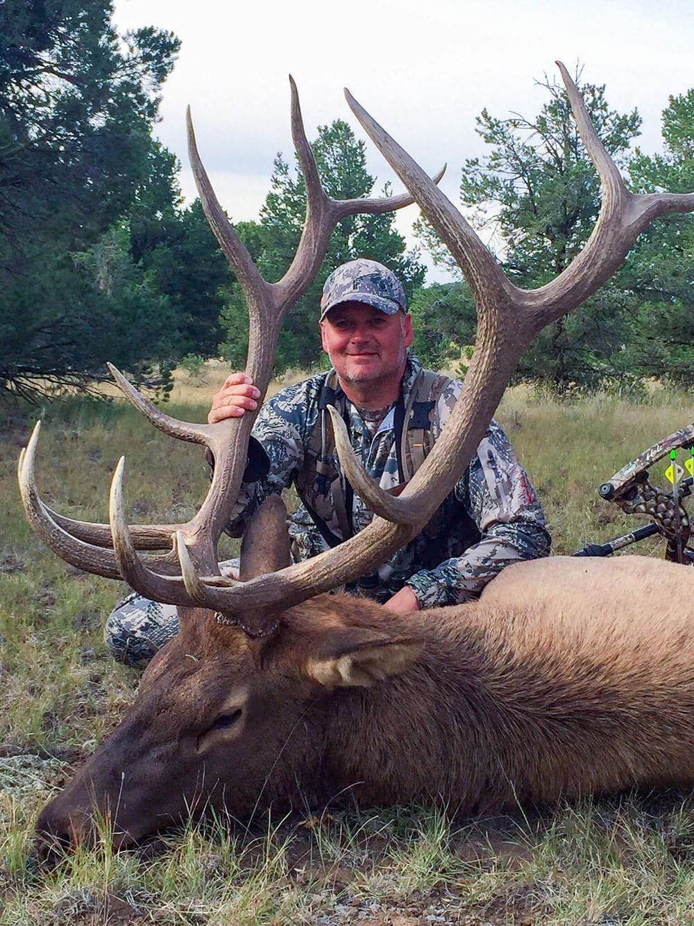 New Mexico Archery Bull Elk Hunts
