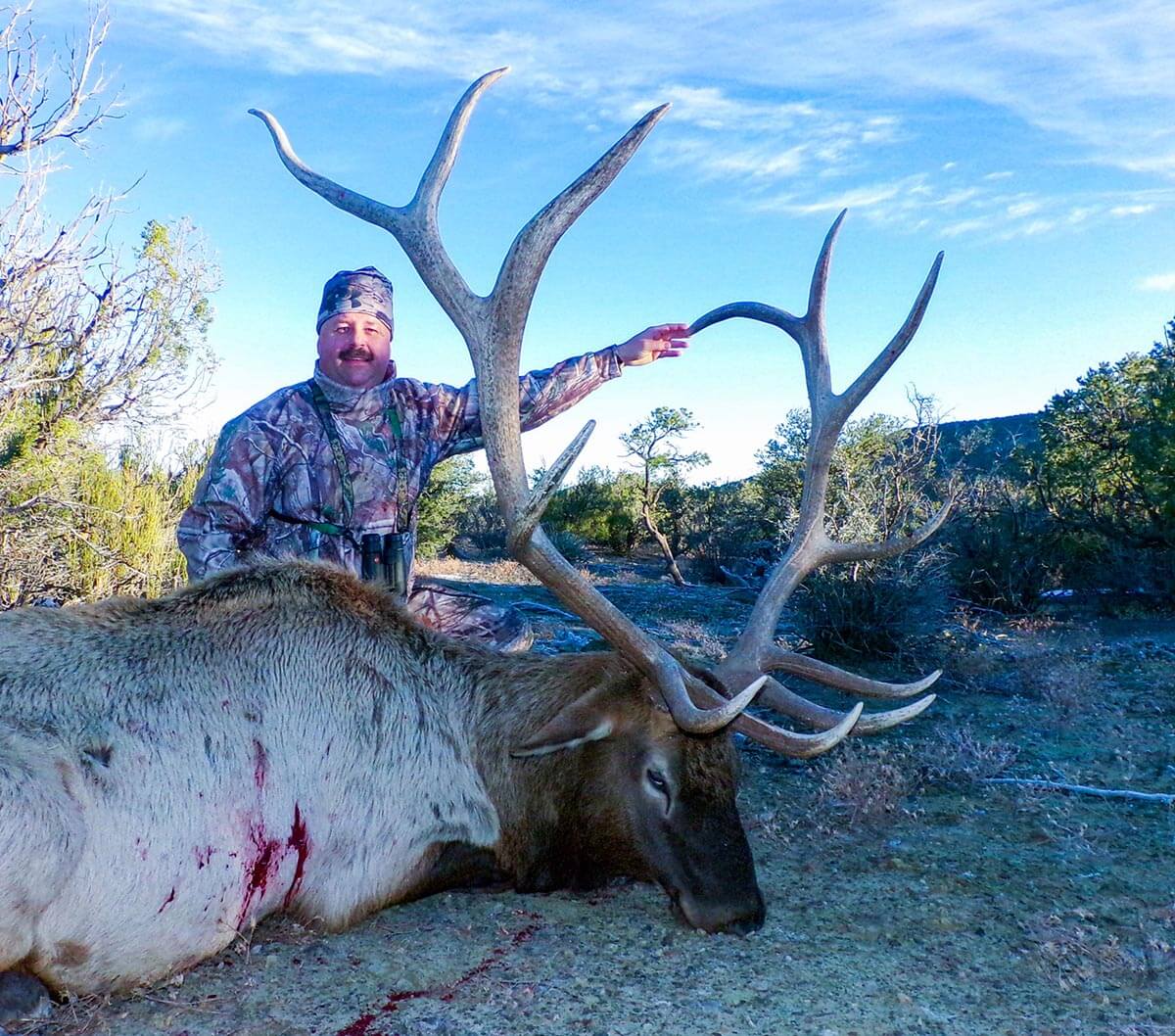 guided bear hunts in new mexico