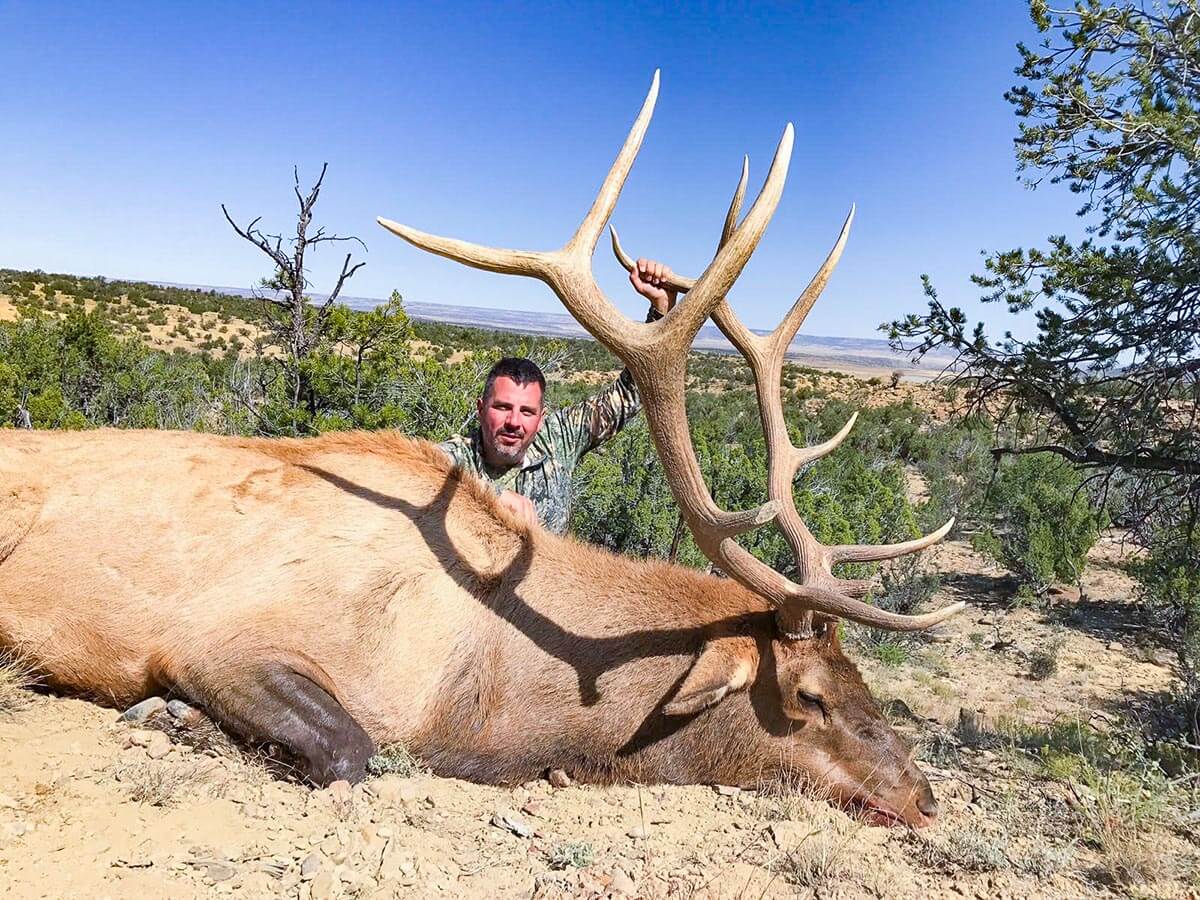 elk guaranteed hunt