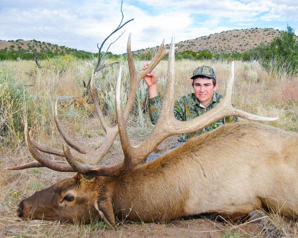 Rifle Bull Elk hunting new mexico