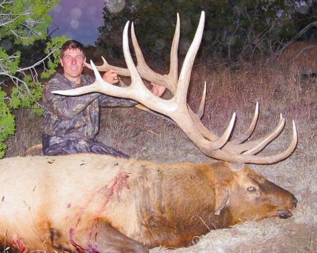 new mexico Rifle Bull Elk hunting