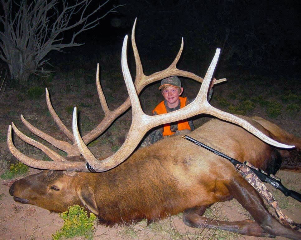new mexico bull elk hunts