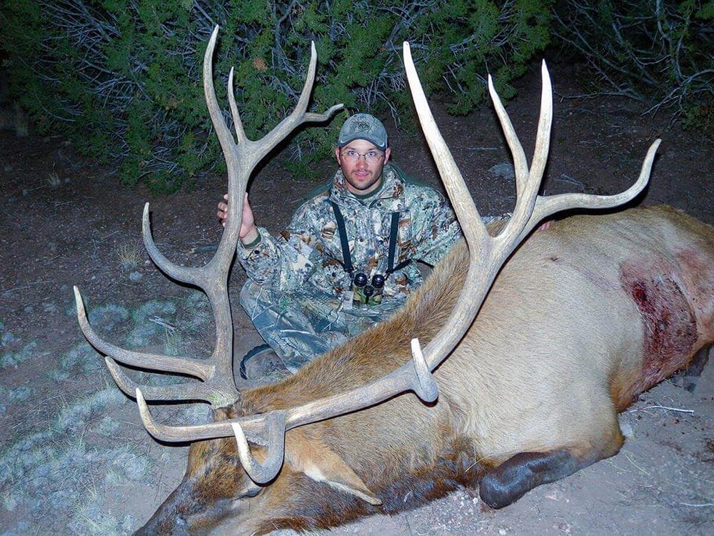 new mexico elk hunting outfitters