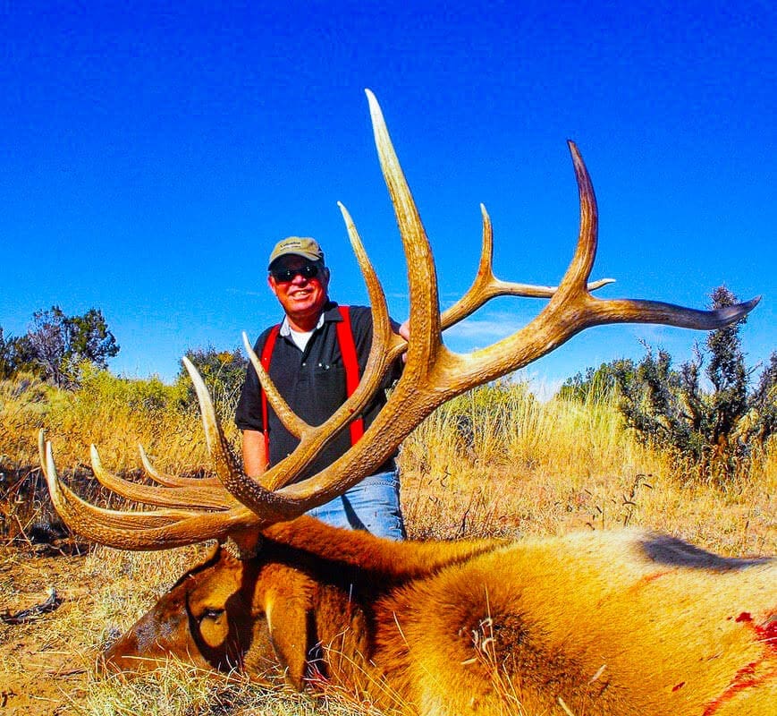 new mexico guided elk hunts