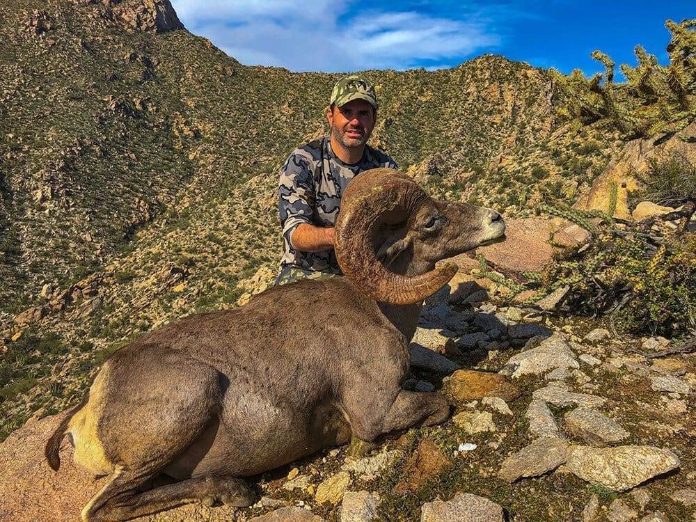 bighorn sheep hunting in mexico