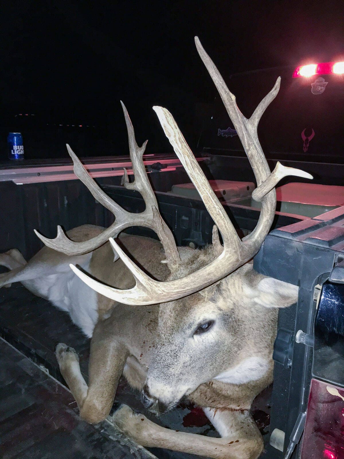 Rifle Mule Deer Hunting South Dakota Gallery 22