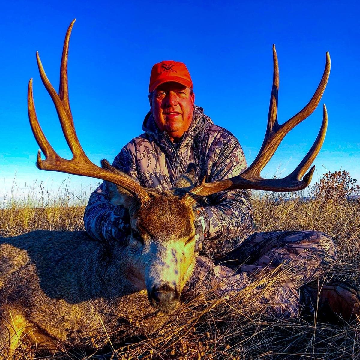 Rifle Mule Deer Hunting South Dakota Gallery 4