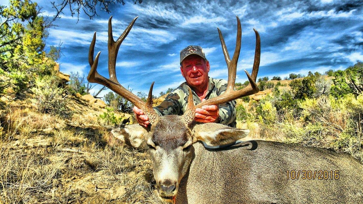 rifle Mule Deer hunt eastern new mexico