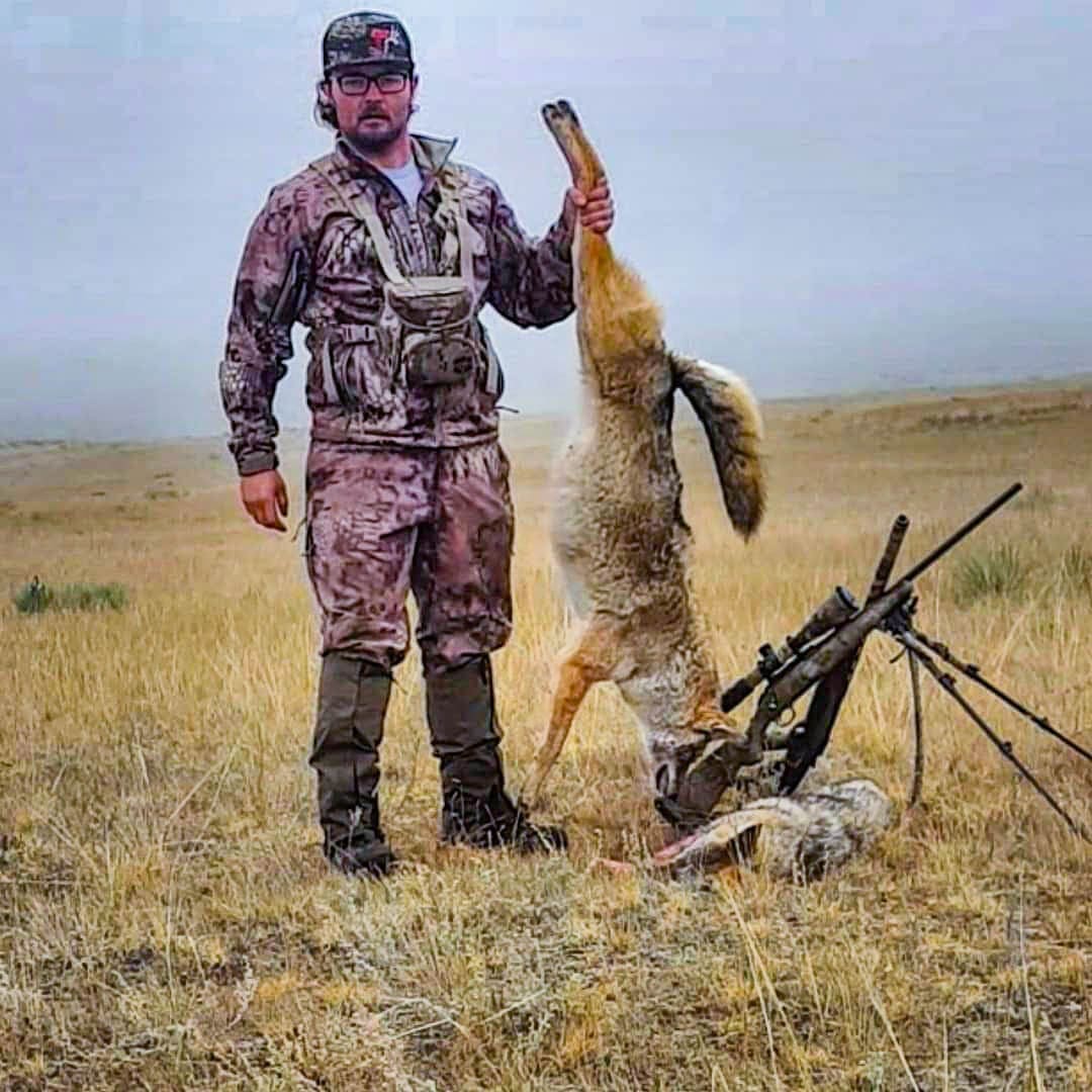 guided coyote hunts