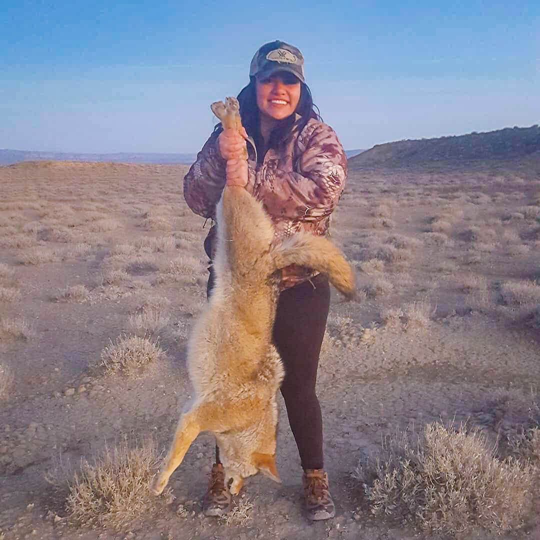 where to hunt coyotes in new mexico
