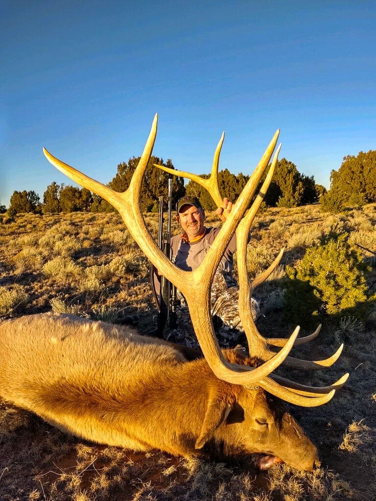 new mexico public land elk hunting