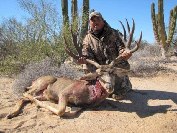 mule deer hunting mexico