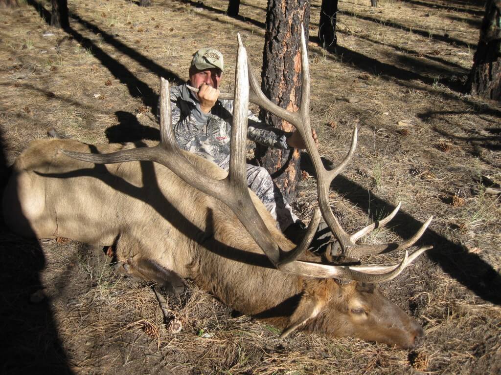 Muzzleloader Elk Hunting arizona