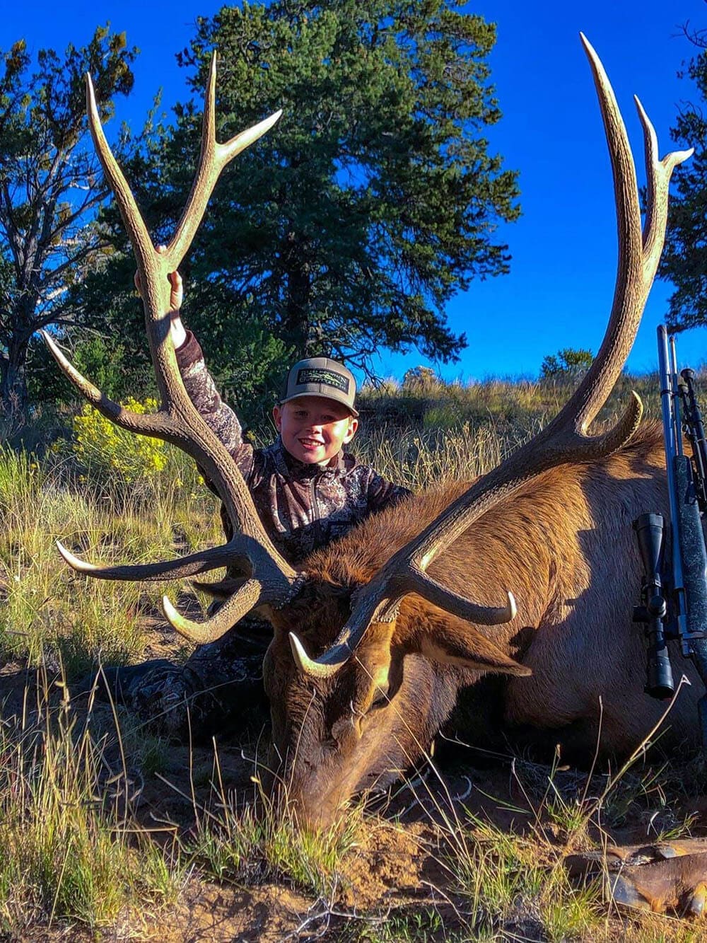 new mexico archery elk guide